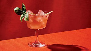 杜松子酒和番茄鸡尾酒坐在红色的背景前，有罗勒装饰从杯子顶部弹出